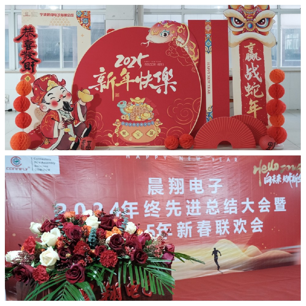 晨翔電子2024年終先進(jìn)總結(jié)大會暨2025年新春聯(lián)歡會圓滿落幕！